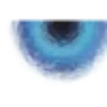 irisdiagnostic